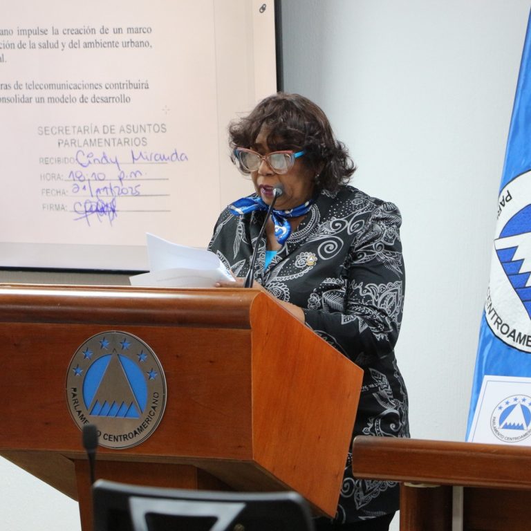 Pleno admitió Iniciativa para Entorno Urbano Libre de Contaminación Electromagnética